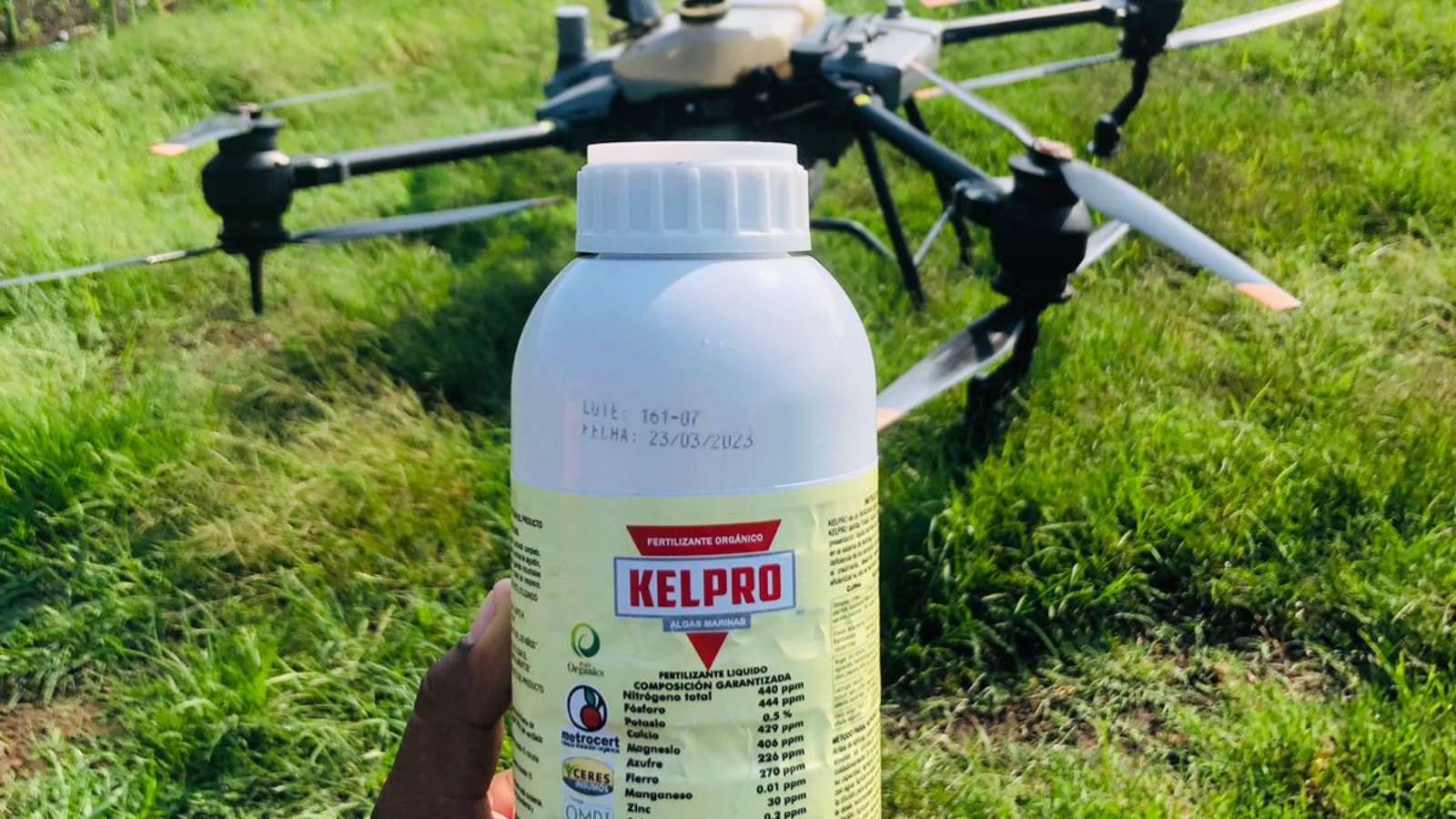 Algas Marinas como Fertilizantes en México